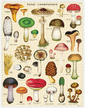 Load image into Gallery viewer, Cavallini &amp; Co. Mushroom - 1000 piece vintage jigsaw puzzle