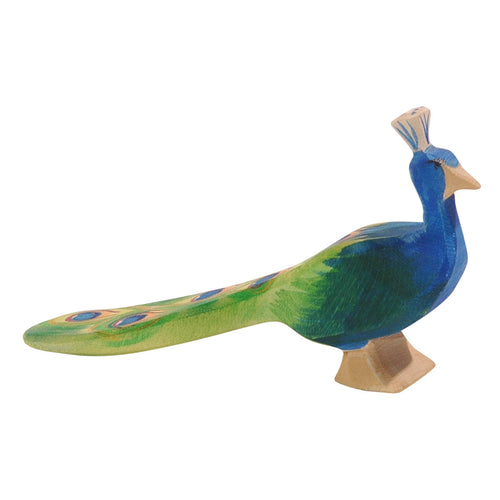 Ostheimer Peacock - closed tail