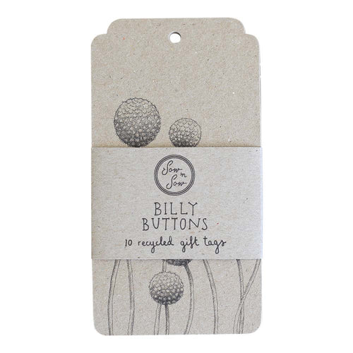 Gift Tag - Billy Buttons 10 pack