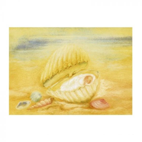 ‘Child in a Shell’ Card