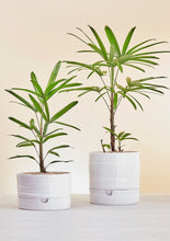 Load image into Gallery viewer, Angus and Celeste Self Watering Plant Pots Tall White Speckle