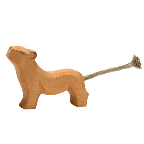 Ostheimer Lion cub - head high