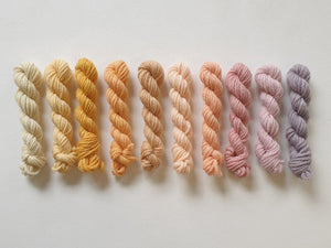 Valleymaker Polwarth Yarn Pack 50g - 10 assorted colours 8ply